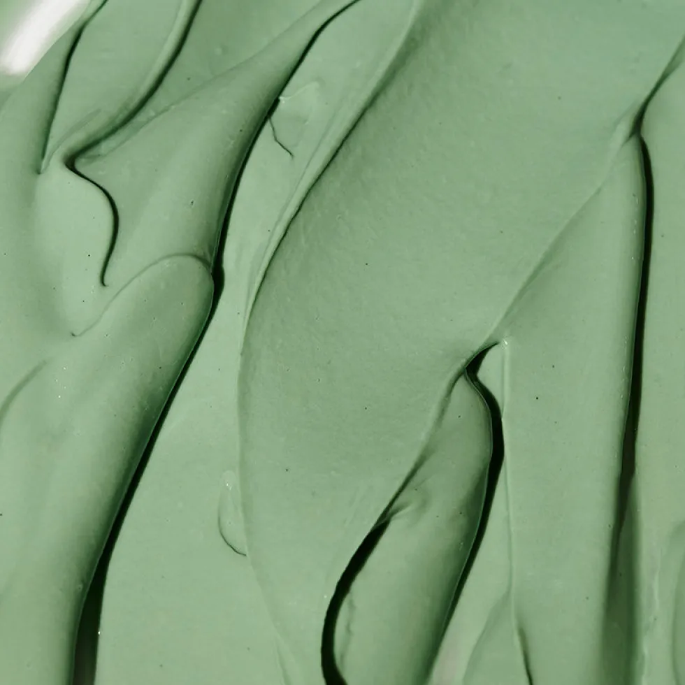 Expert Spirulina Cooling Modeling Mask
