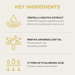 Madagascar Centella Watergel Sheet Ampoule Mask