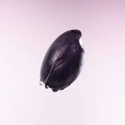 Purple Rice Pore Smoothing Cleansing Oil