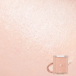 See-Through Veillighter