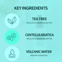 Tea Tree Pore & Sebum Emulsion